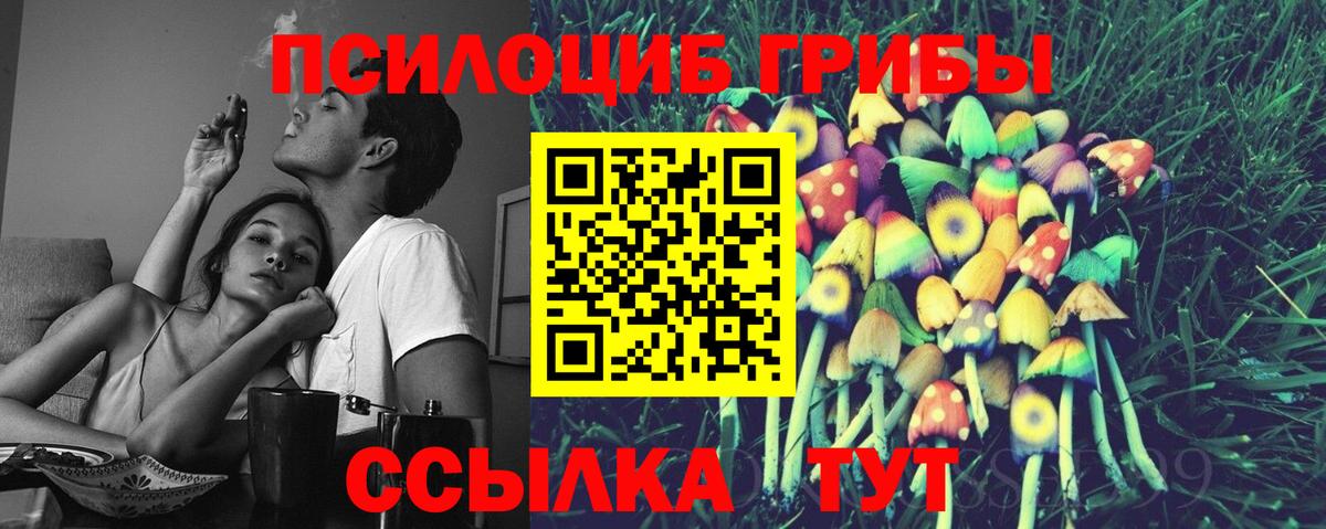 Элиста  Псилоцибиновые грибы GOLDEN TEACHER  Вход с VPN  Галлюциногенные грибы Magic Shrooms 
